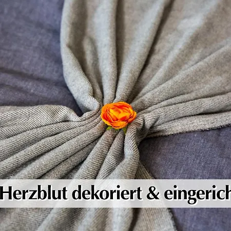 12 Fewos Im Jugendstilhaus Mit Aufzug, Terrasse, Kingsize-bett, Smart-tv, Etc Erfurt
