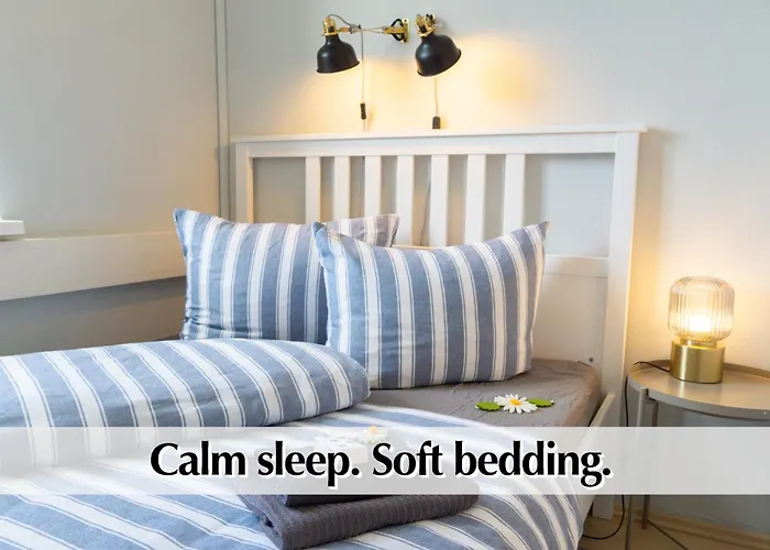 Appartamento 12 Fewos Im Jugendstilhaus Mit Aufzug, Grosser Terrasse, Kingsize-betten, 250mbts Wlan, 55 Zoll Smart-tv - Nur Ein Kurzer Spaziergang Durch Den Park Venedig Zur Kraemerbruecke - Kostenlose Parkplaetze In Den Umliegenden Strassen - Gaststaette Im Haus Erfurt